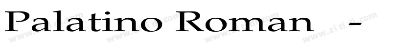 Palatino Roman 常规字体转换